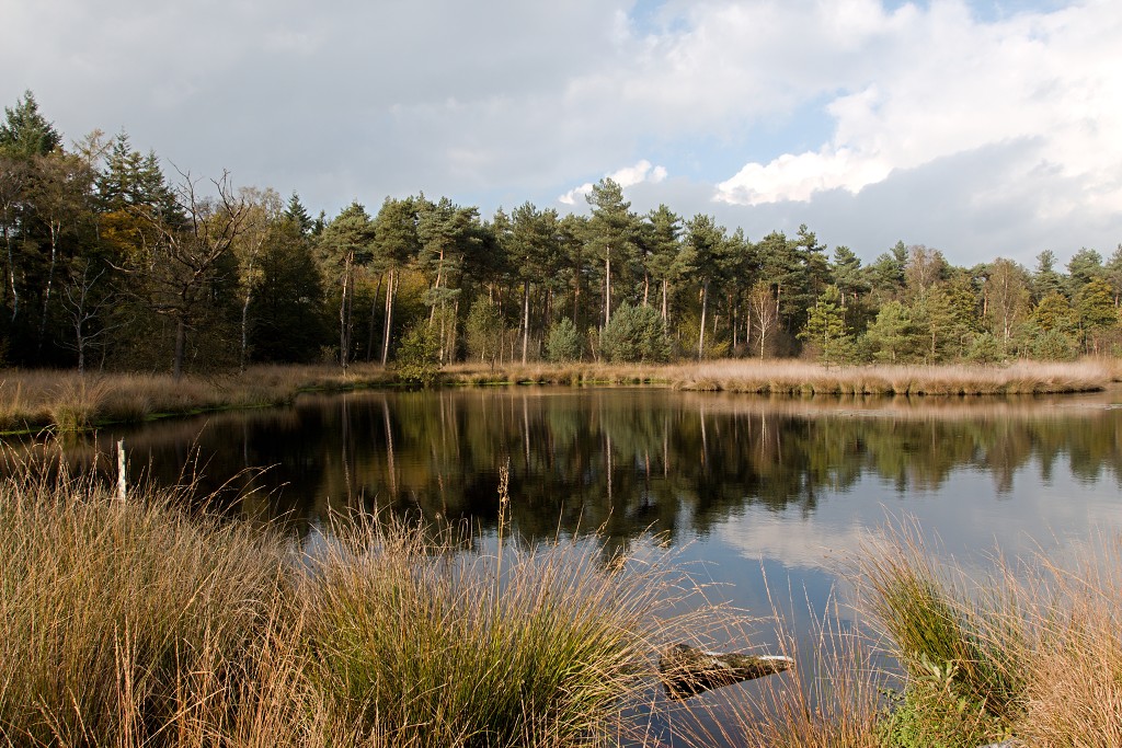 Oisterwijkse Bossen en Vennen Kampina natuurgebied natuur hdr oisterwijk Nationaal park Landschap Het Groene Woud hei heide bossen natuurmonumenten brabant
